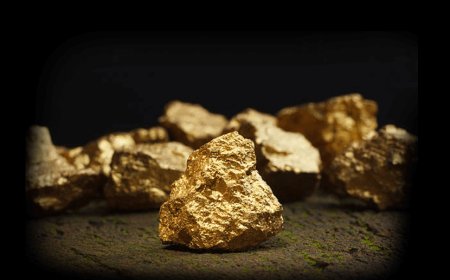 राजस्थान के  भूकिया व जगपुरा की जमीन में करीब 113.52 मिलियन टन स्वर्ण अयस्क