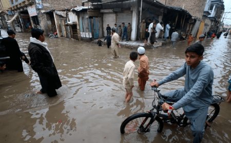 पाकिस्तान में बारिश का कहर - 293 लोगो की मौत की खबर