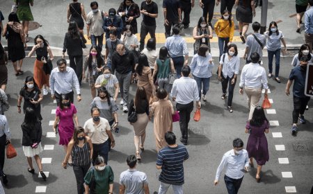 लोकतांत्रिक देश होते हुए भी आखिरकार कैसे सिंगापुर में भ्रष्टाचार ना के बराबर है?