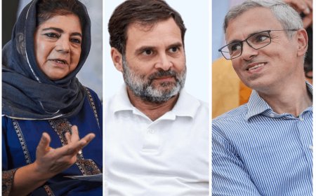 जम्मू-कश्मीर में भाजपा ने सरकार बनाने के लिए लगाया पूरा गणित! राज्यपाल द्वारा नामित पांच सदस्य भी देंगे अपना समर्थन अब सरकार बनाने के लिए चाहिए 45 की जगह 48 विधायक