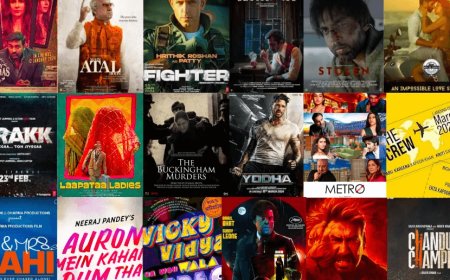 2023-2024 में  दो सालों में बॉलीवुड की कई फिल्मों ने बॉक्स ऑफिस पर शानदार  की  कमाई