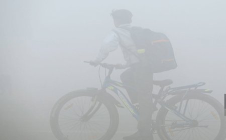 प्रदूषण के कारण बंद दिल्ली के स्कूल फिलहाल रहेंगे बंद! चलेंगी ऑनलाइन कक्षाएं!