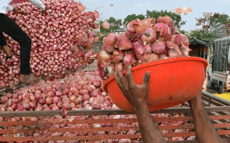 किसान हर तरफ कर रहे है प्याज की खेती्! फिर भी क्यूं बिक रही है 110 रूपए किलो प्याज?