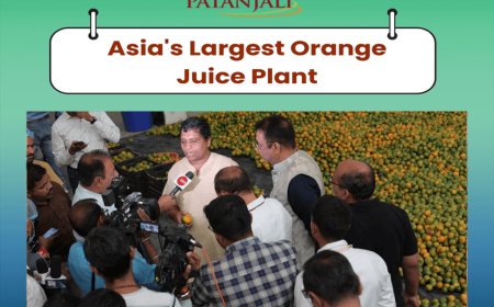 बाबा रामदेव की कंपनी पतंजलि मेगा फूड एंड हर्बल पार्क नागपुर के मिहान में तैयार! 100 प्रतिशत प्राकृतिक जूस होगा तैयार