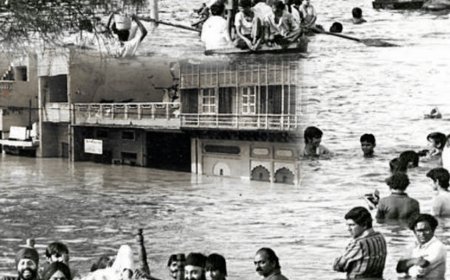 दिल्ली में बाढ़ का खतरा! साल 1978 जैसे हालात पैदा होने की स्थिति