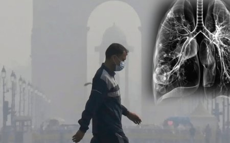 केंद्र सरकार ने कहा हमारे पास ऐसे कोई ठोस आकंडे नही जिसे प्रदूषण से फेफडों की बीमारी के बीच संबंध स्थापति होता हो!