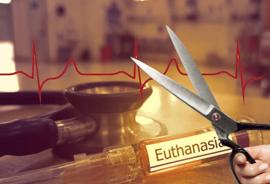 हरीश को इच्छा मृत्यु देने से पहले सुप्रीम कोर्ट करेगा उसके माता-पिता से बात! 31 साल का हरीश 12 साल से वेंटिलेटर पर