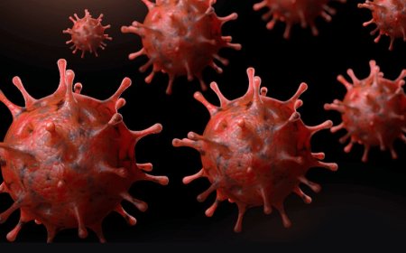 दुनिया भर में एक बार फिर कोविड-19 को लेकर हलचल! अब कोरोना के वेरिएंट ‘सिकाडा’ को लेकर सभी देशो को चेतावनी