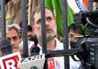 SIR विवाद पर संग्राम तेज: राजघाट पहुंचे राहुल-प्रियंका, CEC ज्ञानेश कुमार के खिलाफ विपक्ष का मोर्चा; BJP का पलटवार